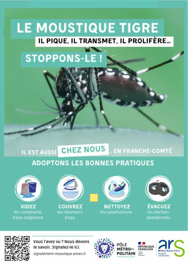 Pr├®vention Moustique Tigre-images-0